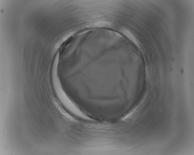 X0000071780389200607282243