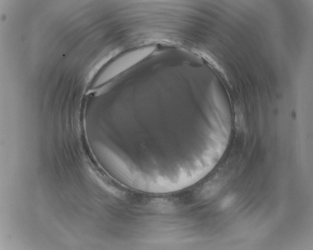 X0000071780390200607282243