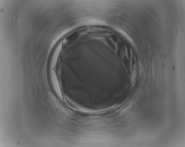 X0000071780391200607282243