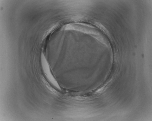 X0000071780393200607282243