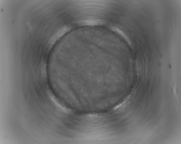 X0000071780394200607282243