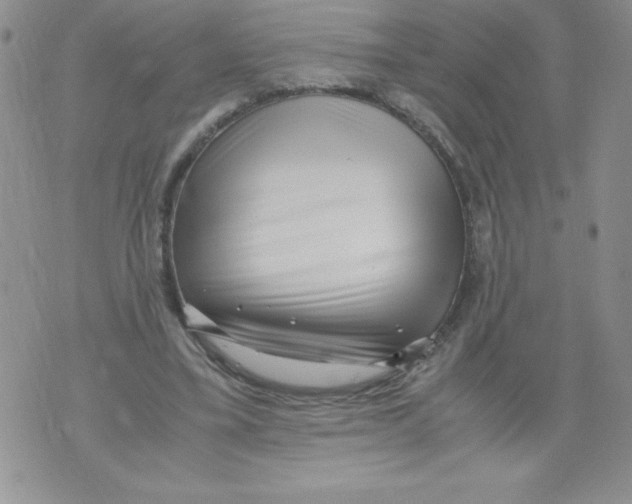 X0000071780395200607282243