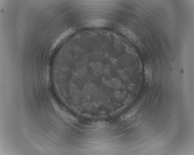 X0000071780396200607282243