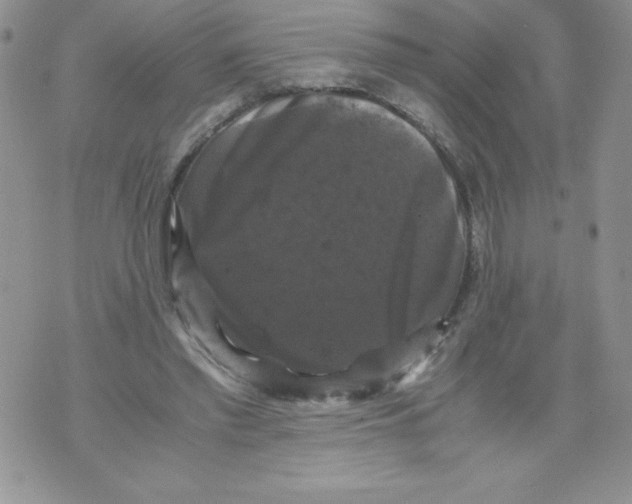 X0000071780397200607282243