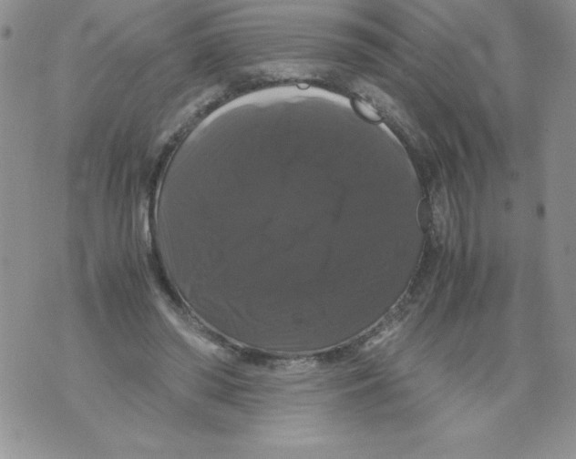 X0000071780398200607282243