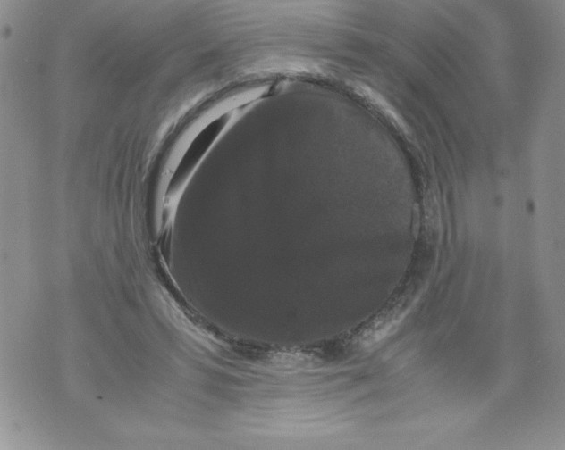 X0000071780399200607282243