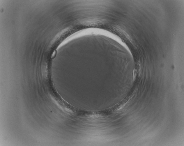 X0000071780400200607282243