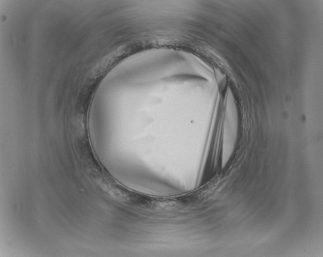 X0000071780401200607282243