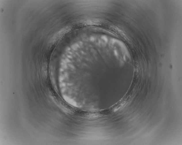 X0000071780402200607282243