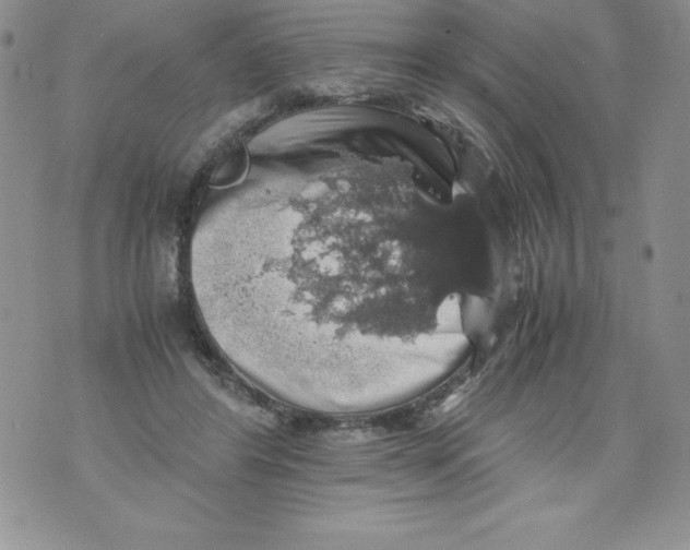 X0000071780404200607282243