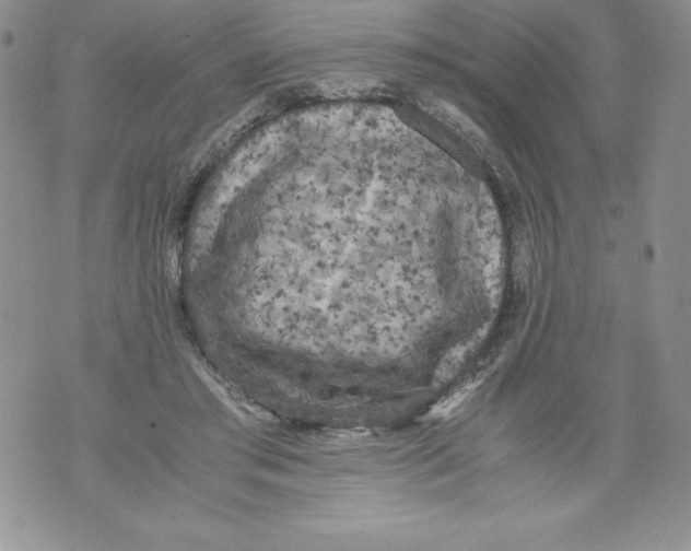 X0000071780405200607282243