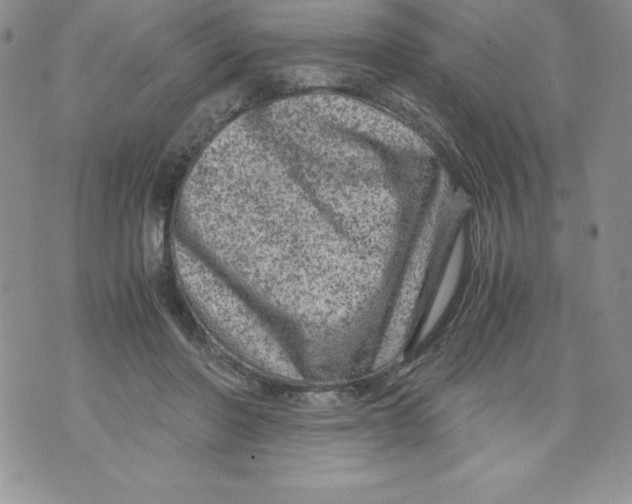 X0000071780406200607282243