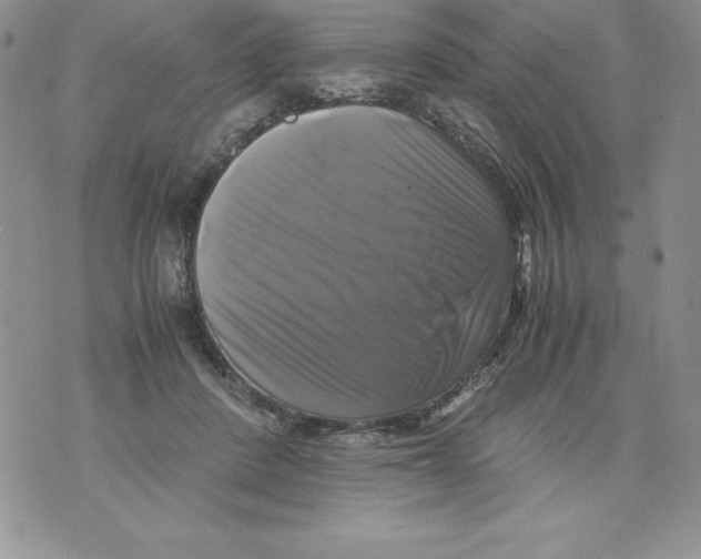 X0000071780408200607282243