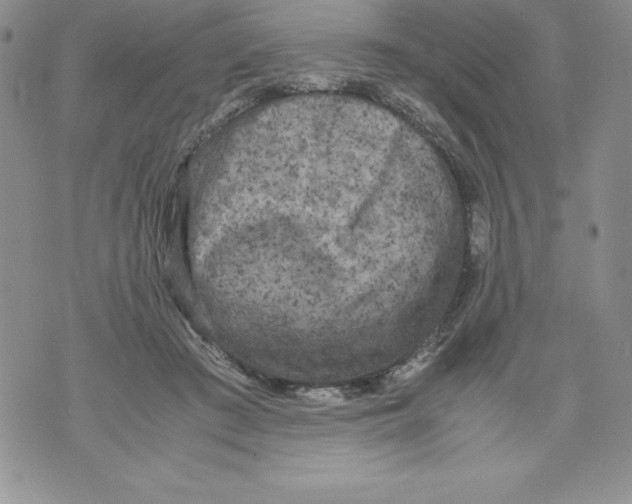 X0000071780409200607282243