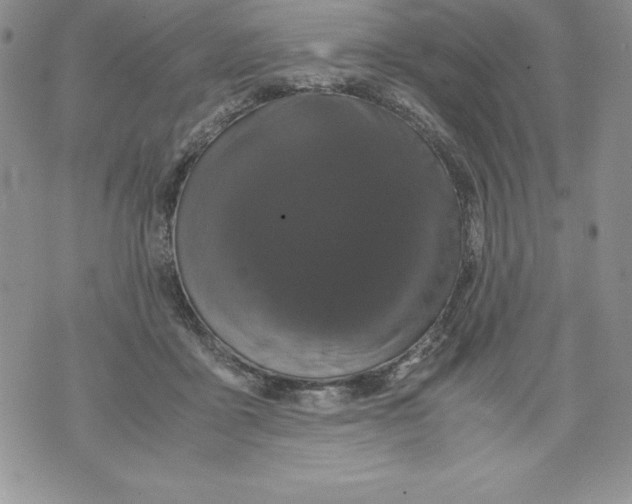 X0000071780411200607282243