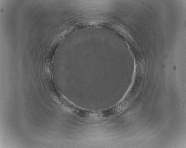 X0000071780415200607282243