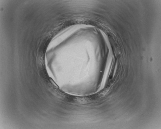 X0000071780417200607282243