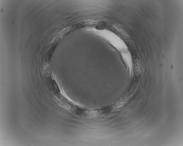 X0000071780419200607282243