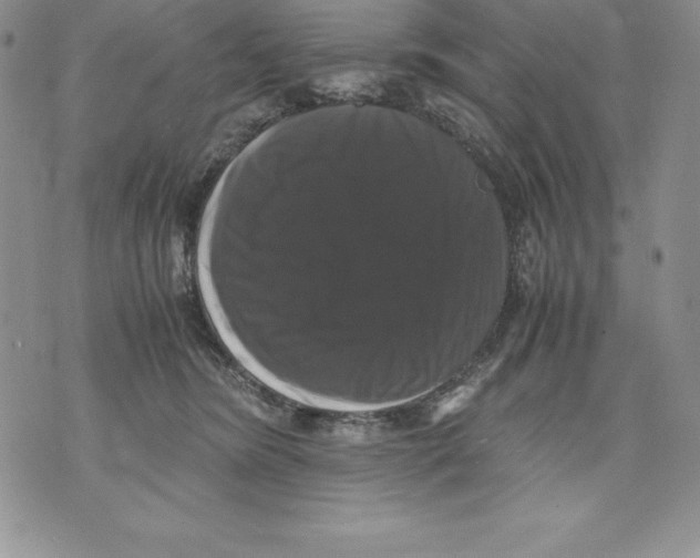 X0000071780420200607282243