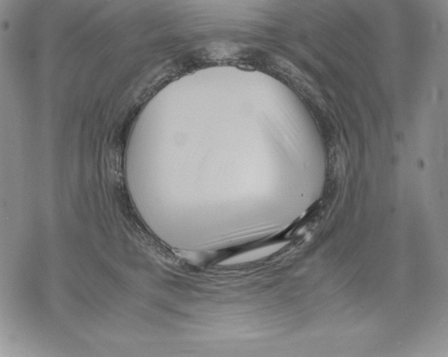 X0000071780421200607282243