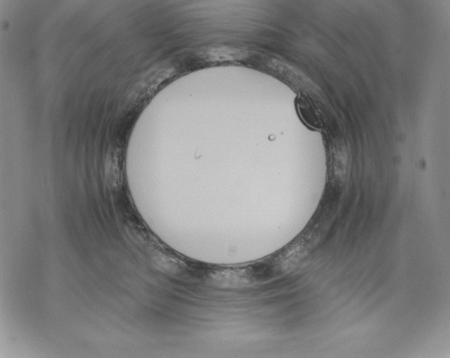 X0000071780422200607282243