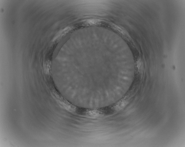 X0000071780423200607282243