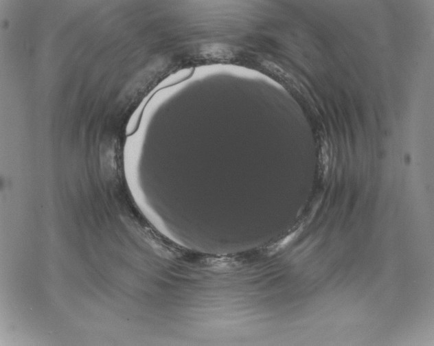 X0000071780424200607282243