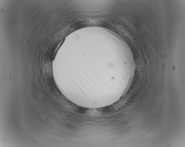 X0000071780425200607282243