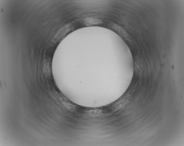 X0000071780426200607282243