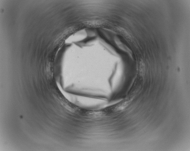 X0000071780428200607282243