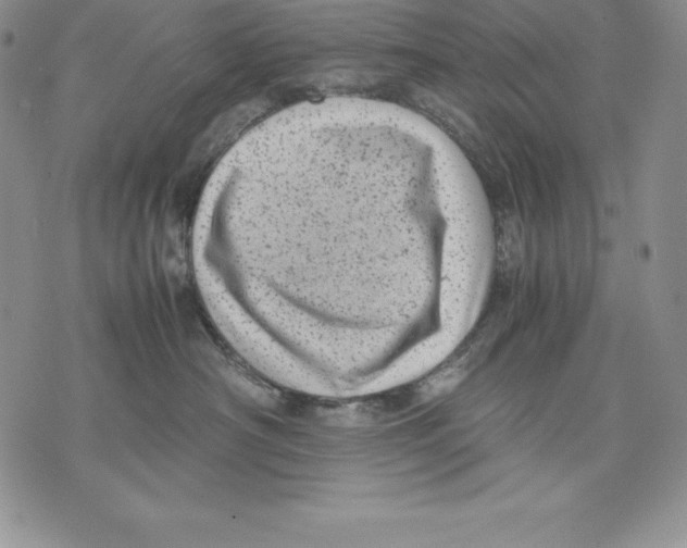 X0000071780430200607282242