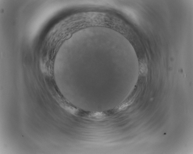 X0000071780431200607282242