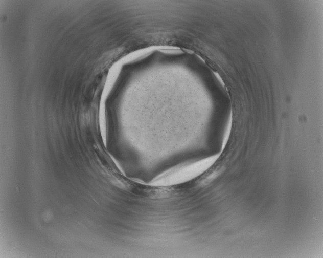 X0000071780432200607282242