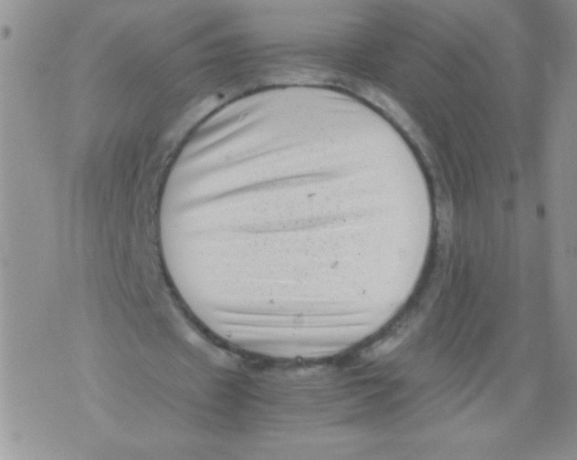 X0000071780433200607282242