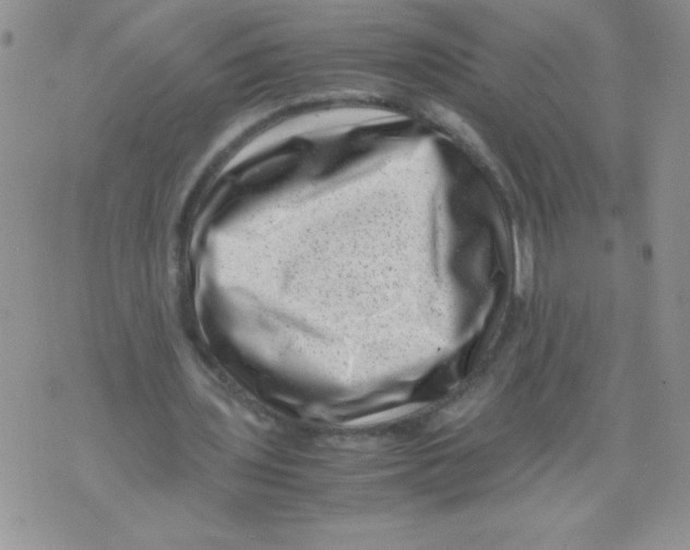 X0000071780435200607282242