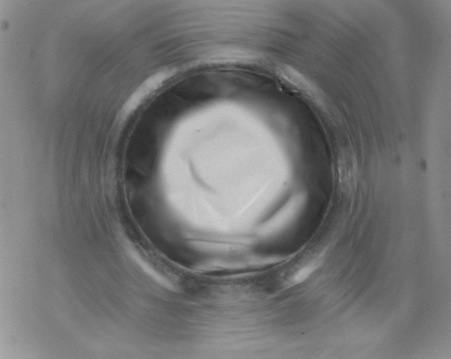 X0000071780436200607282242