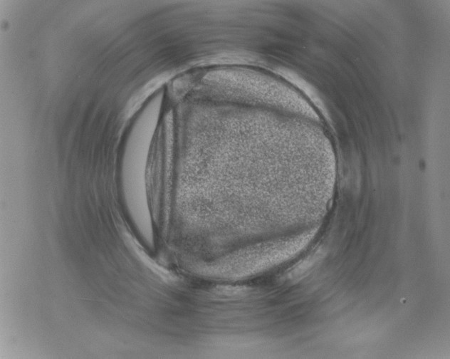 X0000071780437200607282242