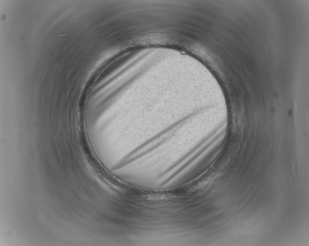 X0000071780439200607282242