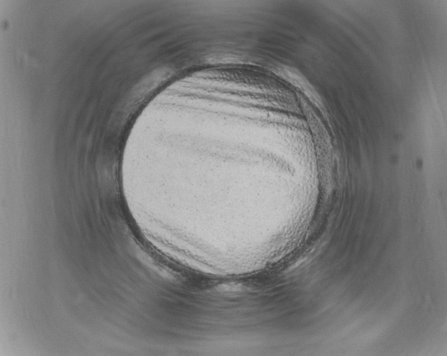 X0000071780441200607282242