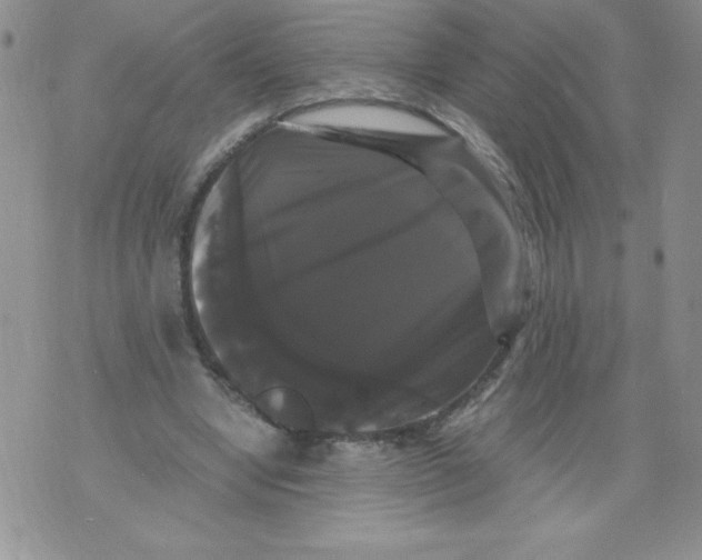 X0000071780442200607282242