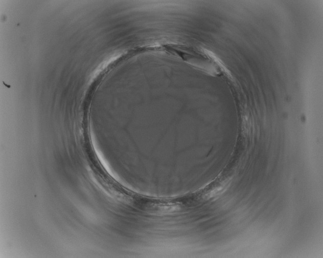 X0000071780443200607282242