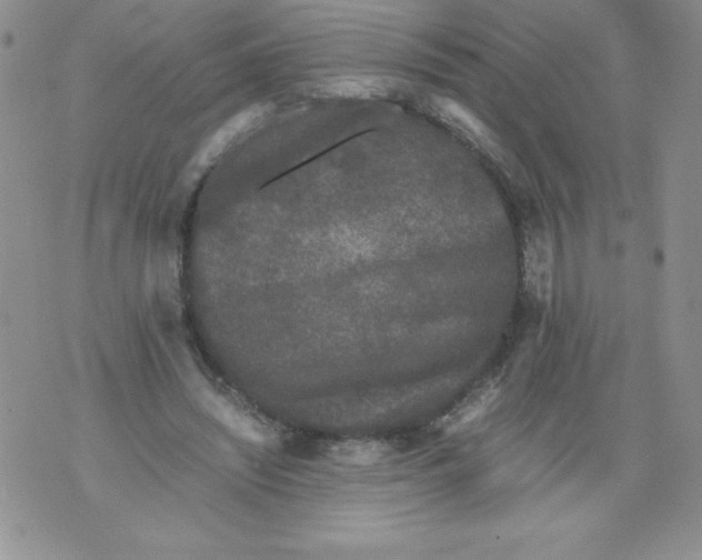 X0000071780444200607282242