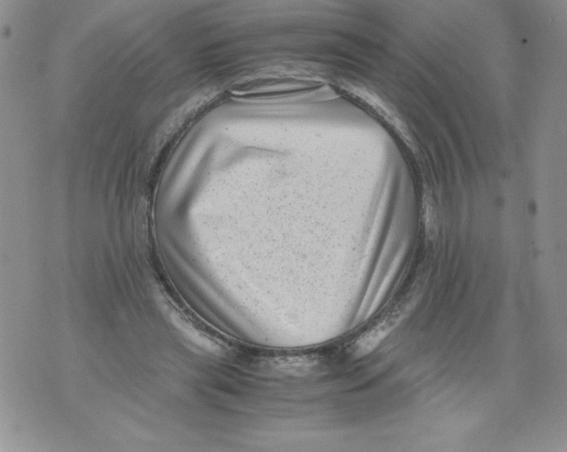 X0000071780445200607282242