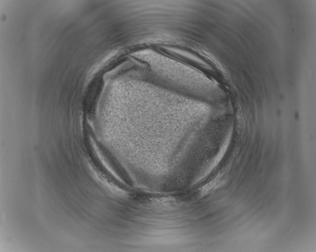 X0000071780446200607282242