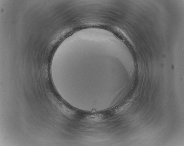 X0000071780447200607282242