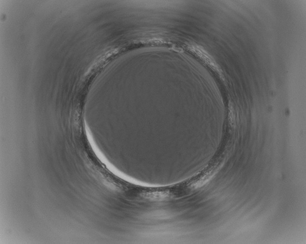 X0000071780449200607282242