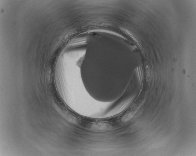 X0000071780451200607282242