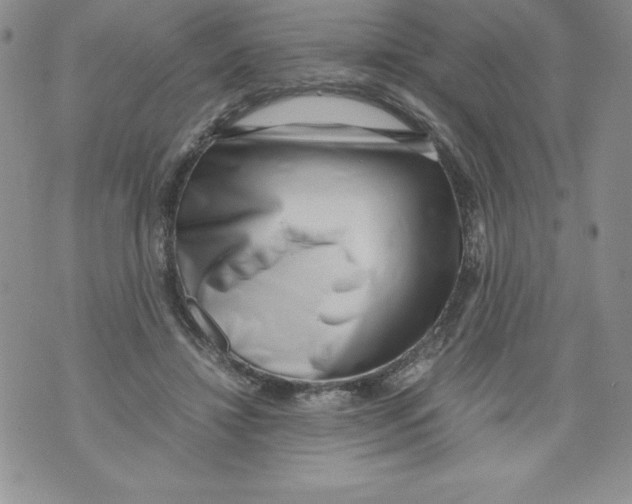 X0000071780452200607282242