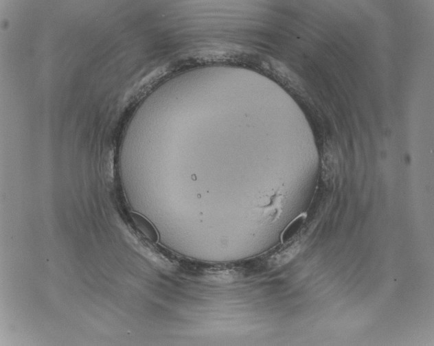 X0000071780454200607282242