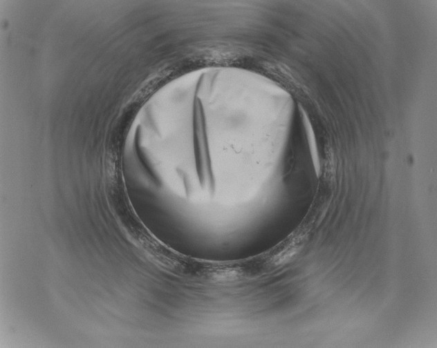 X0000071780456200607282242